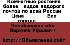 Комнатные растения более200видов недорого почтой по всей России › Цена ­ 100-500 - Все города  »    . Челябинская обл.,Верхний Уфалей г.